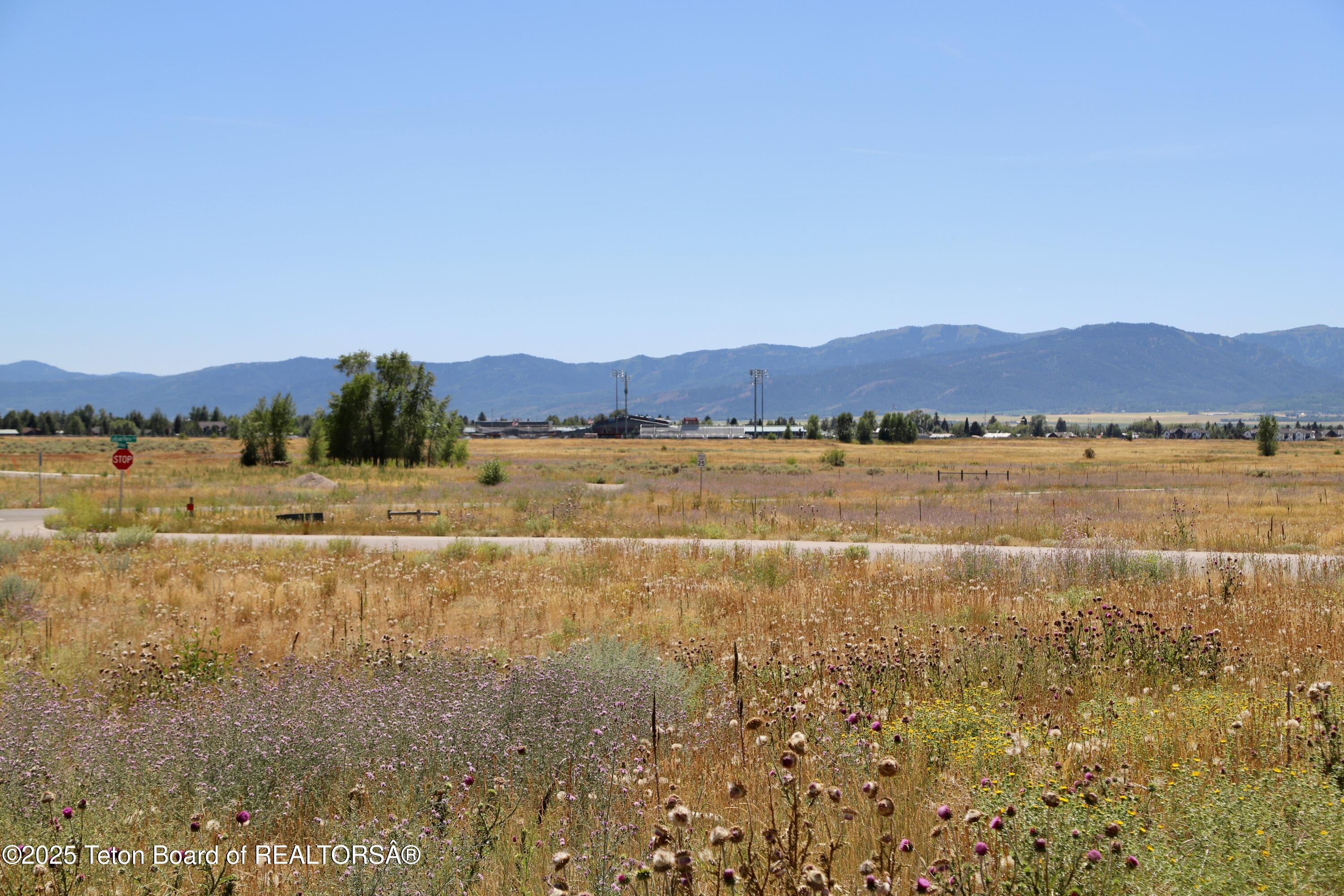 1025 Cahuilla Road Driggs, ID 83422 - Photo 16 of 20 Doherty-7443