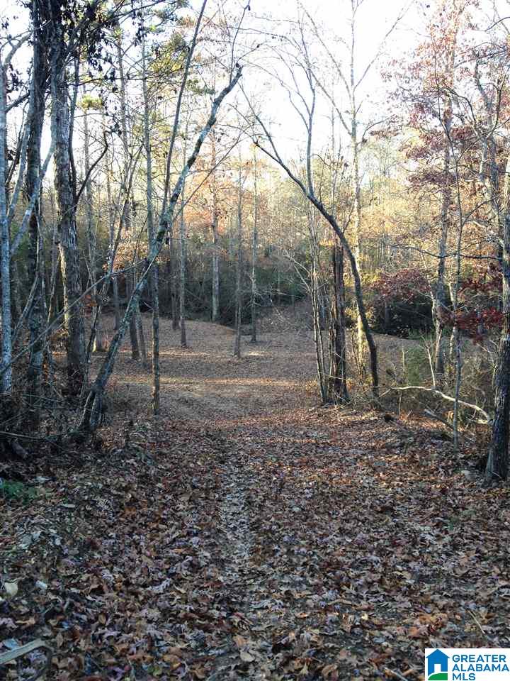 0 Jackson Loop Road, Unit 1 Ragland, AL 35131 - Photo 26 of 27