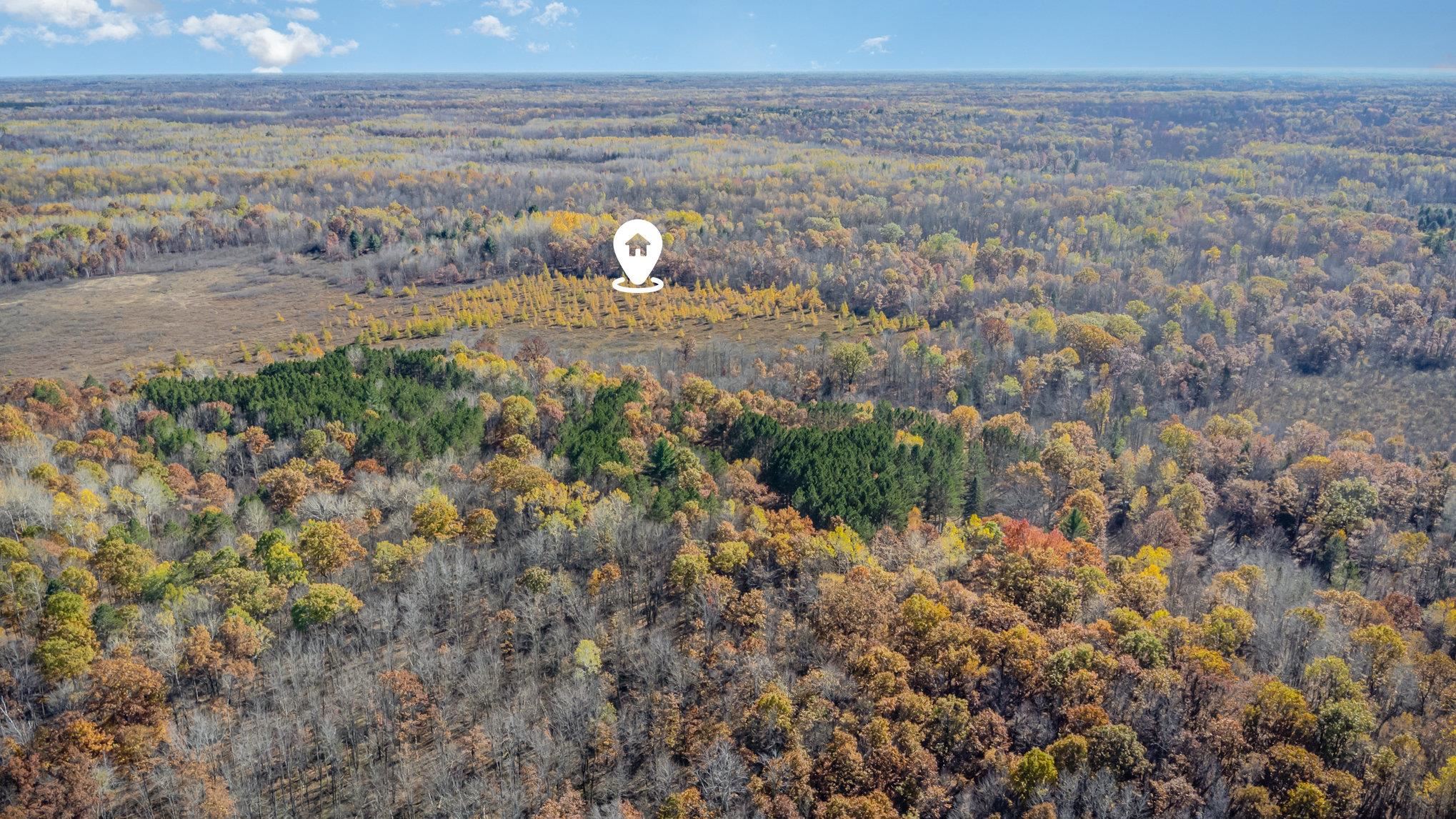 3385 Jones Road Rhodes, MI 48652 - Photo 35 of 56