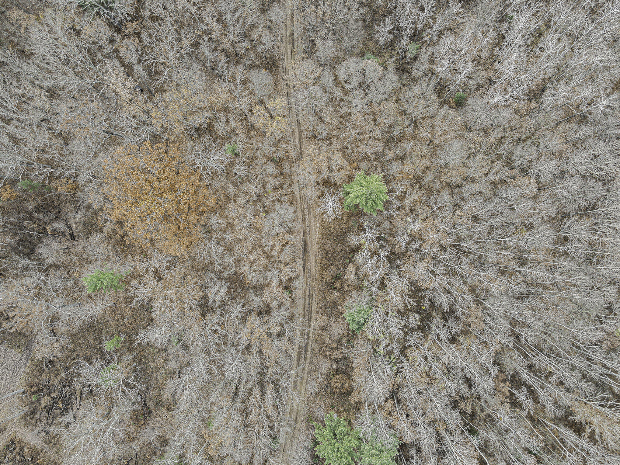 Vl 128th Avenue Rothbury, MI 49452 - Photo 16 of 30 024_dji_0100