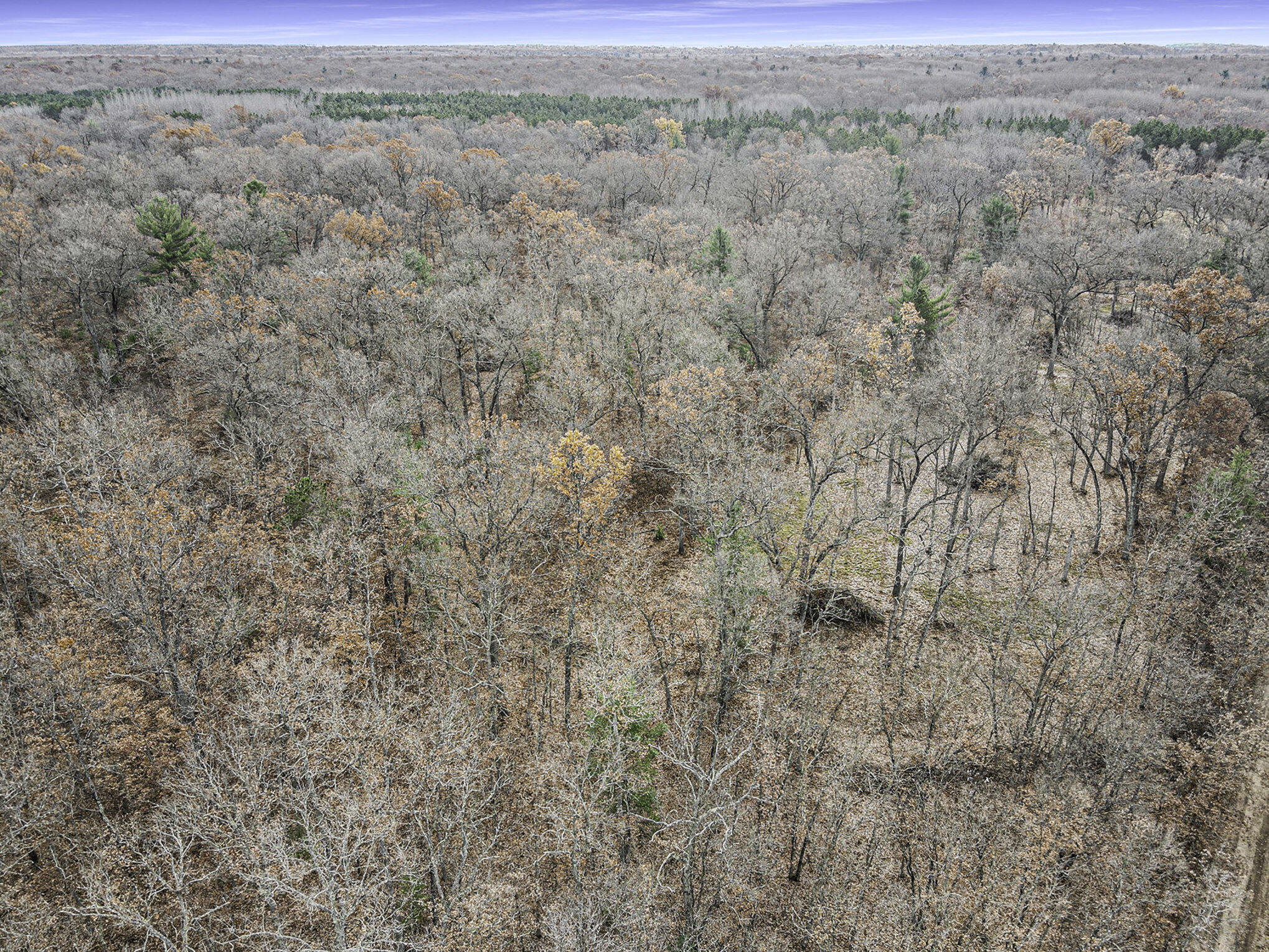 Vl 128th Avenue Rothbury, MI 49452 - Photo 19 of 30 027_dji_0105