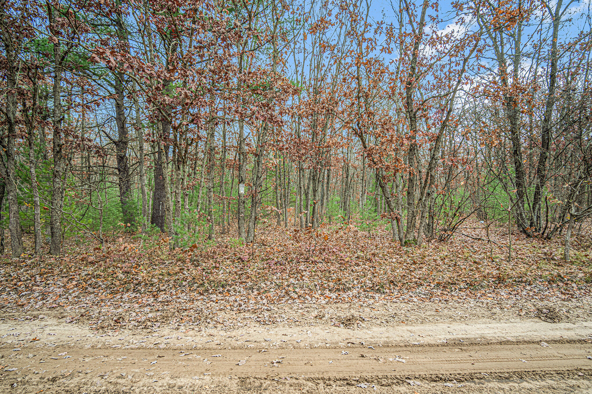 Vl 128th Avenue Rothbury, MI 49452 - Photo 2 of 30 004_dsc09530