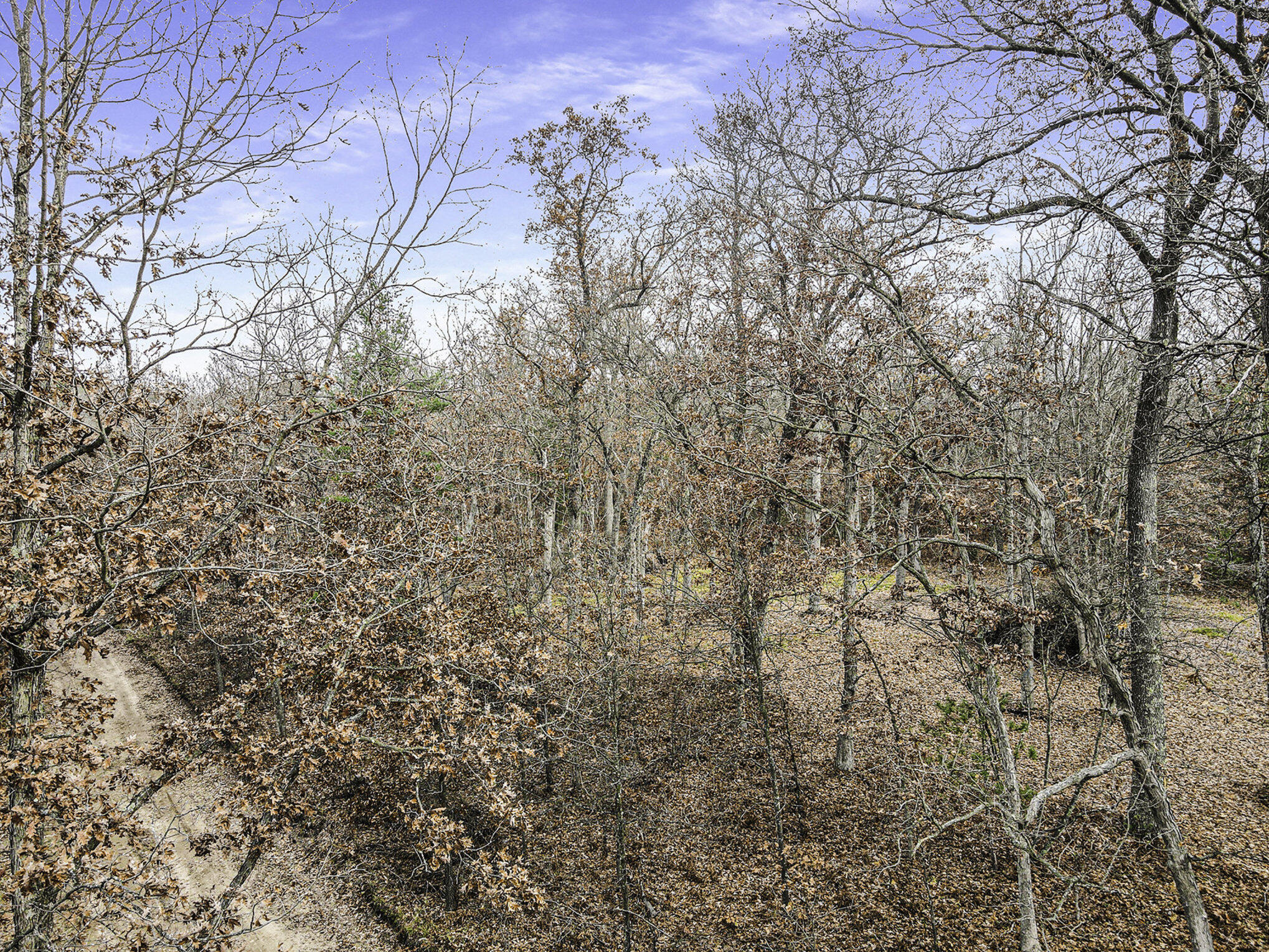 Vl 128th Avenue Rothbury, MI 49452 - Photo 23 of 30 015_dji_0084