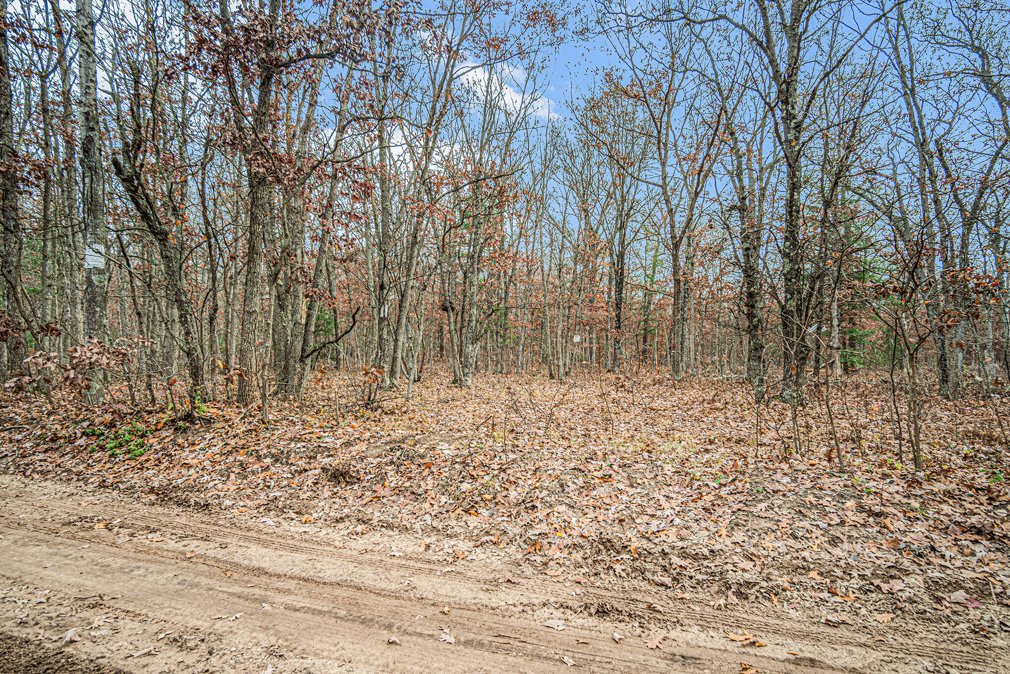 Vl 128th Avenue Rothbury, MI 49452 - Photo 3 of 30 003_dsc09529