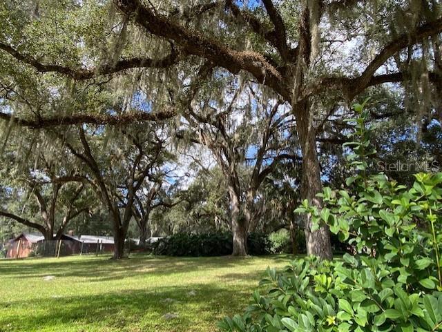 Wilmhurst Road DeLand, FL 32720 - Photo 1 of 1 Gallery Image 1