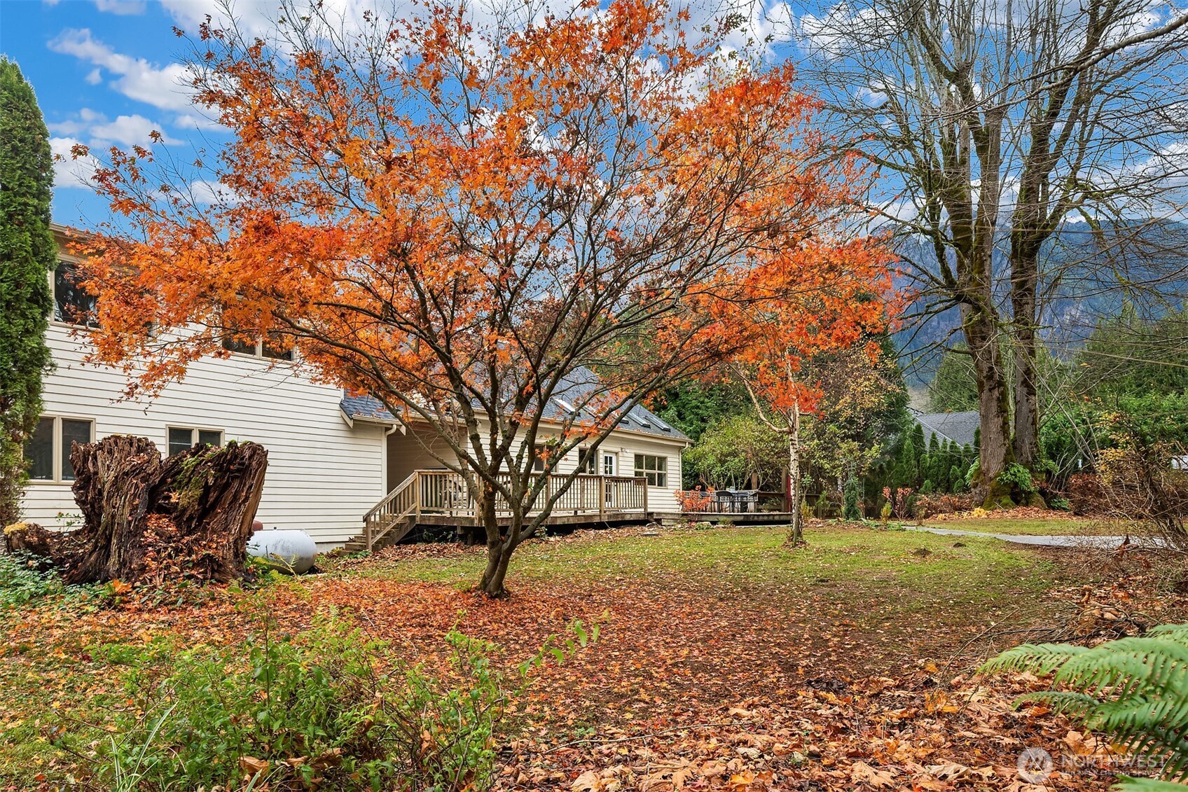 41715 Southeast 101st Street North Bend, WA 98045 - Photo 33 of 38 a view of a backyard with large trees