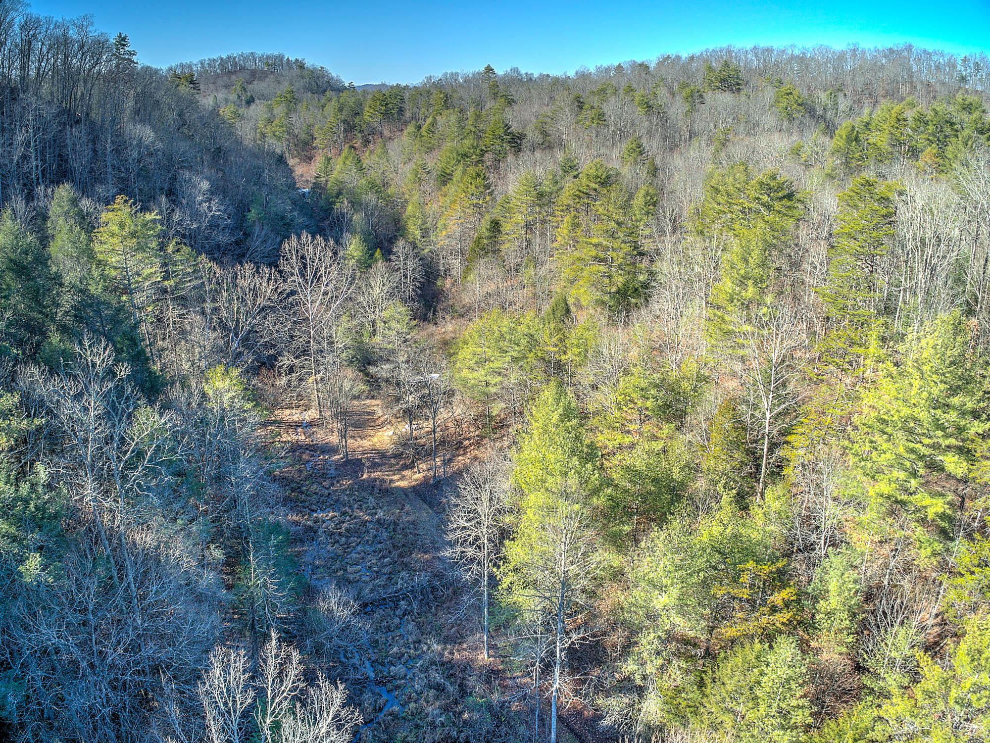 502 Riley Hollow Road Bluff City, TN 37618 - Photo 1 of 39 502 Riley Hollow Rd-5
