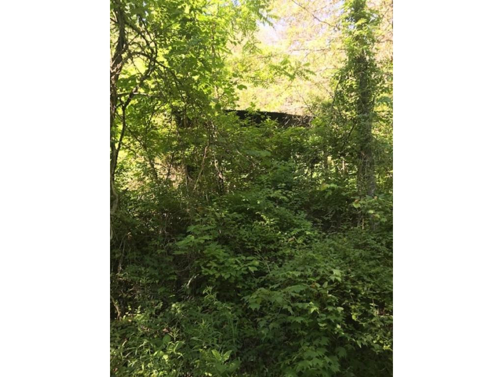 502 Riley Hollow Road Bluff City, TN 37618 - Photo 17 of 39 Photo 16