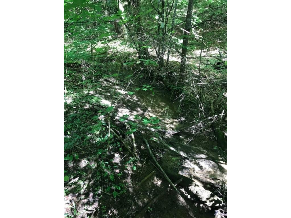 502 Riley Hollow Road Bluff City, TN 37618 - Photo 19 of 39 Photo 18