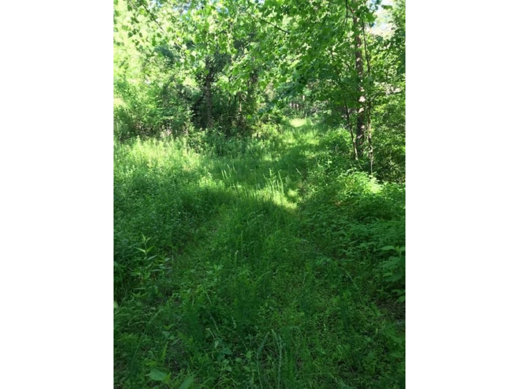 502 Riley Hollow Road Bluff City, TN 37618 - Photo 2 of 39 Photo 1