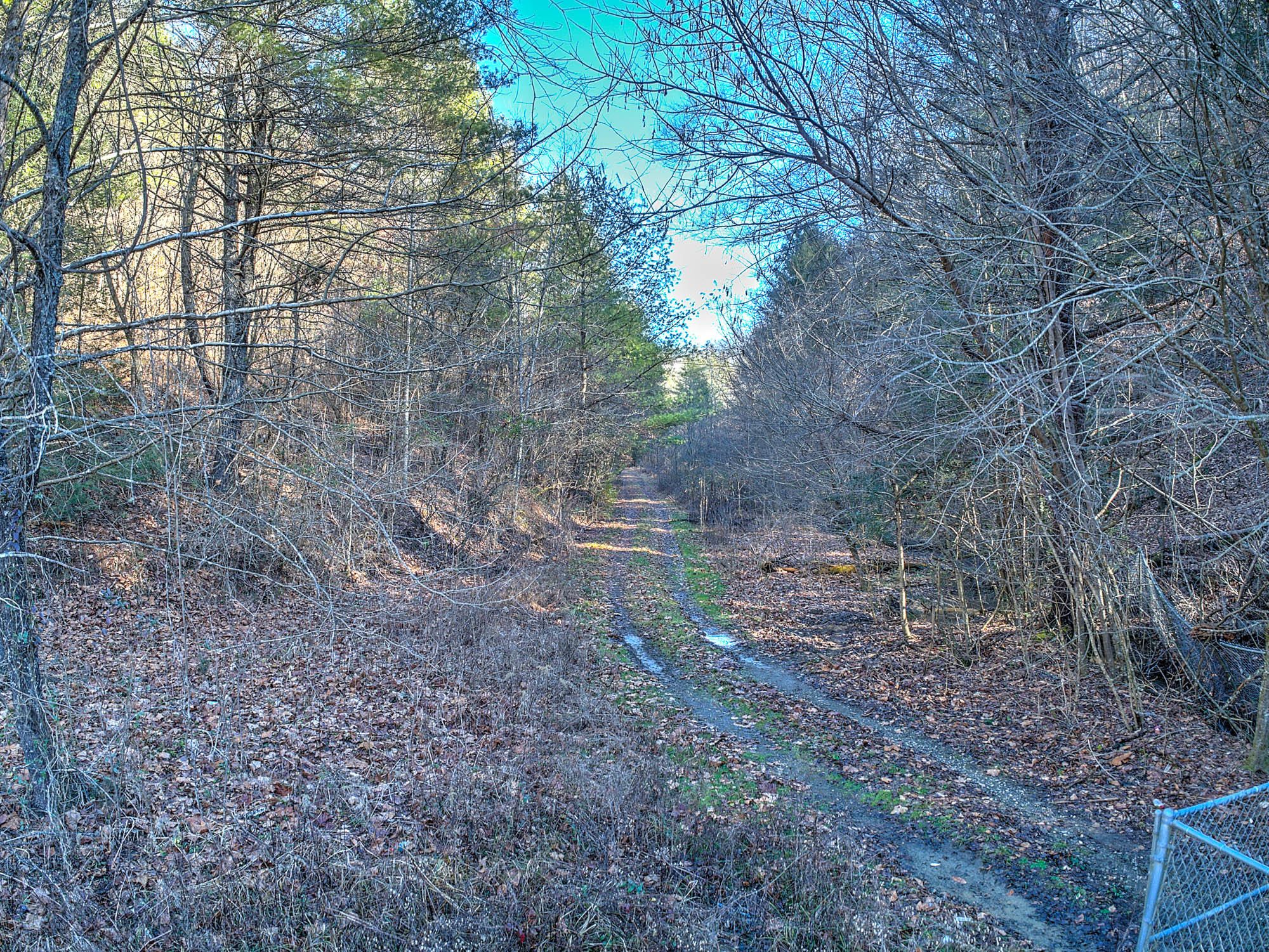 502 Riley Hollow Road Bluff City, TN 37618 - Photo 22 of 39 502 Riley Hollow Rd