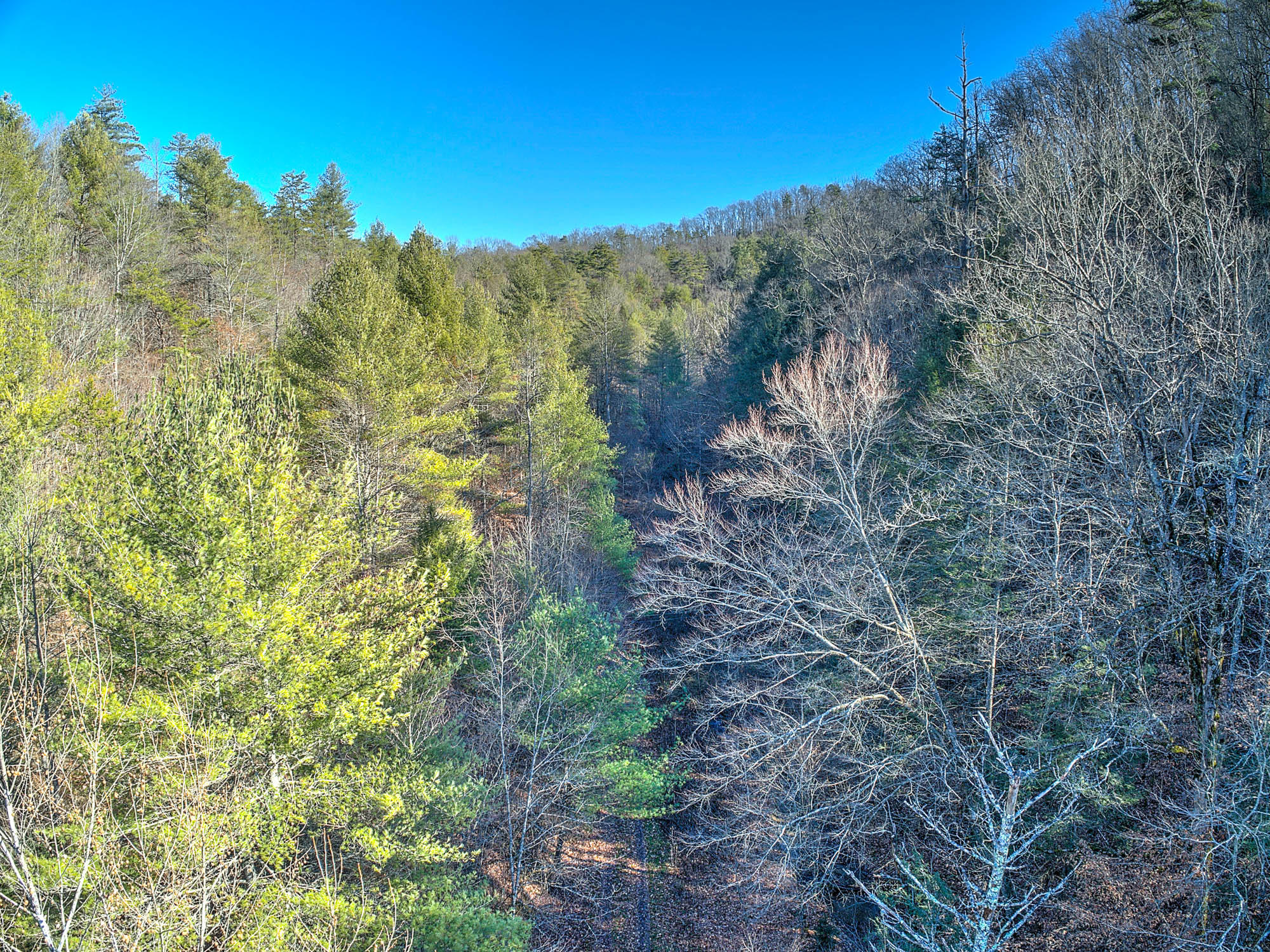 502 Riley Hollow Road Bluff City, TN 37618 - Photo 23 of 39 502 Riley Hollow Rd-2