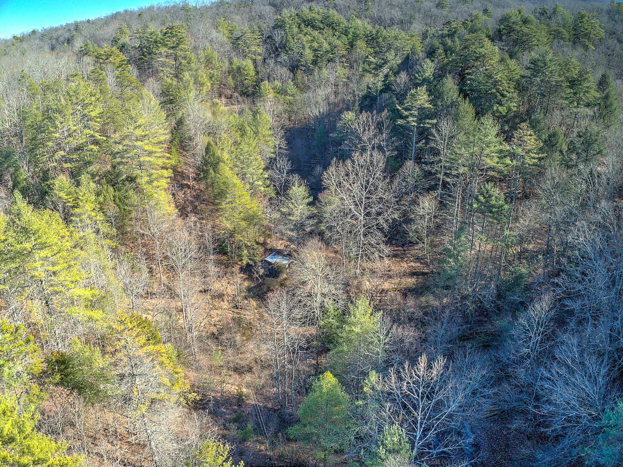 502 Riley Hollow Road Bluff City, TN 37618 - Photo 24 of 39 502 Riley Hollow Rd-3