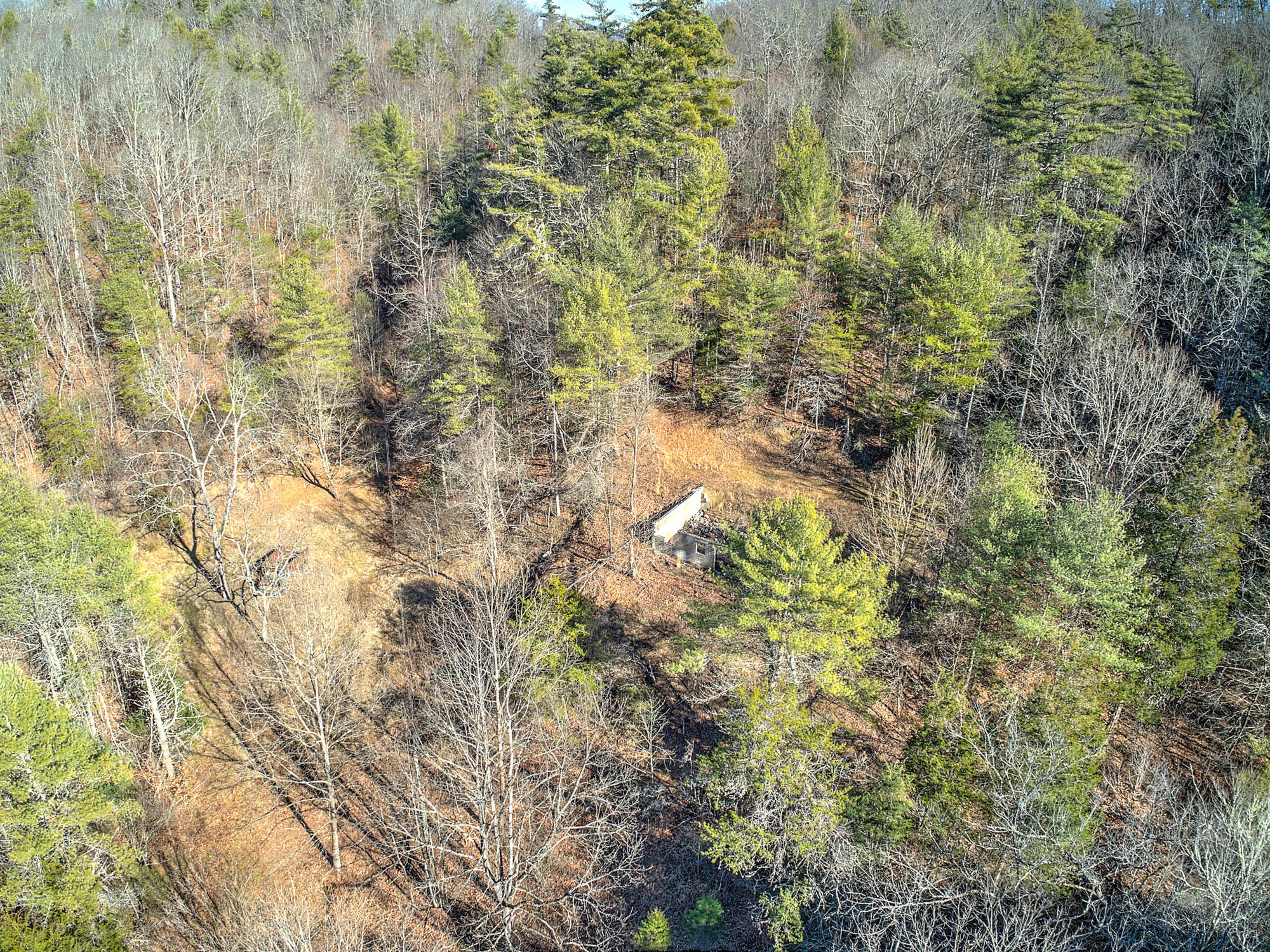 502 Riley Hollow Road Bluff City, TN 37618 - Photo 25 of 39 502 Riley Hollow Rd-4