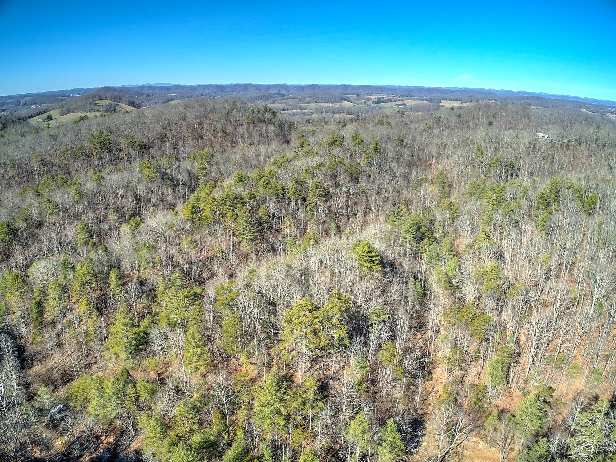 502 Riley Hollow Road Bluff City, TN 37618 - Photo 26 of 39 502 Riley Hollow Rd-6