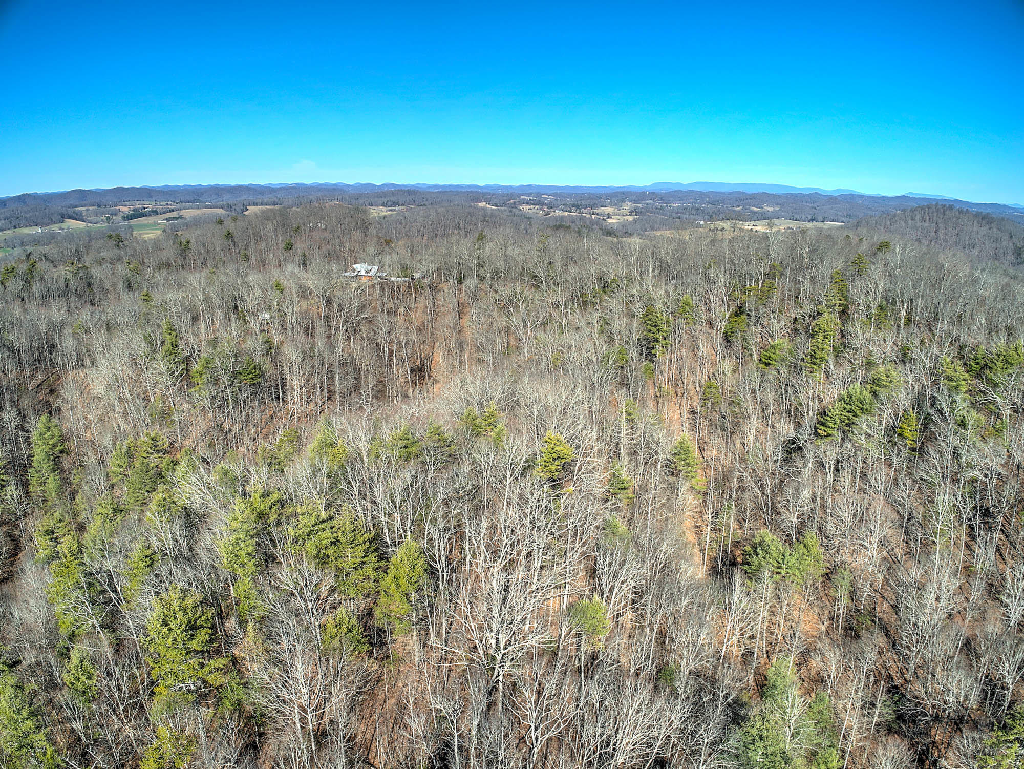 502 Riley Hollow Road Bluff City, TN 37618 - Photo 28 of 39 502 Riley Hollow Rd-8