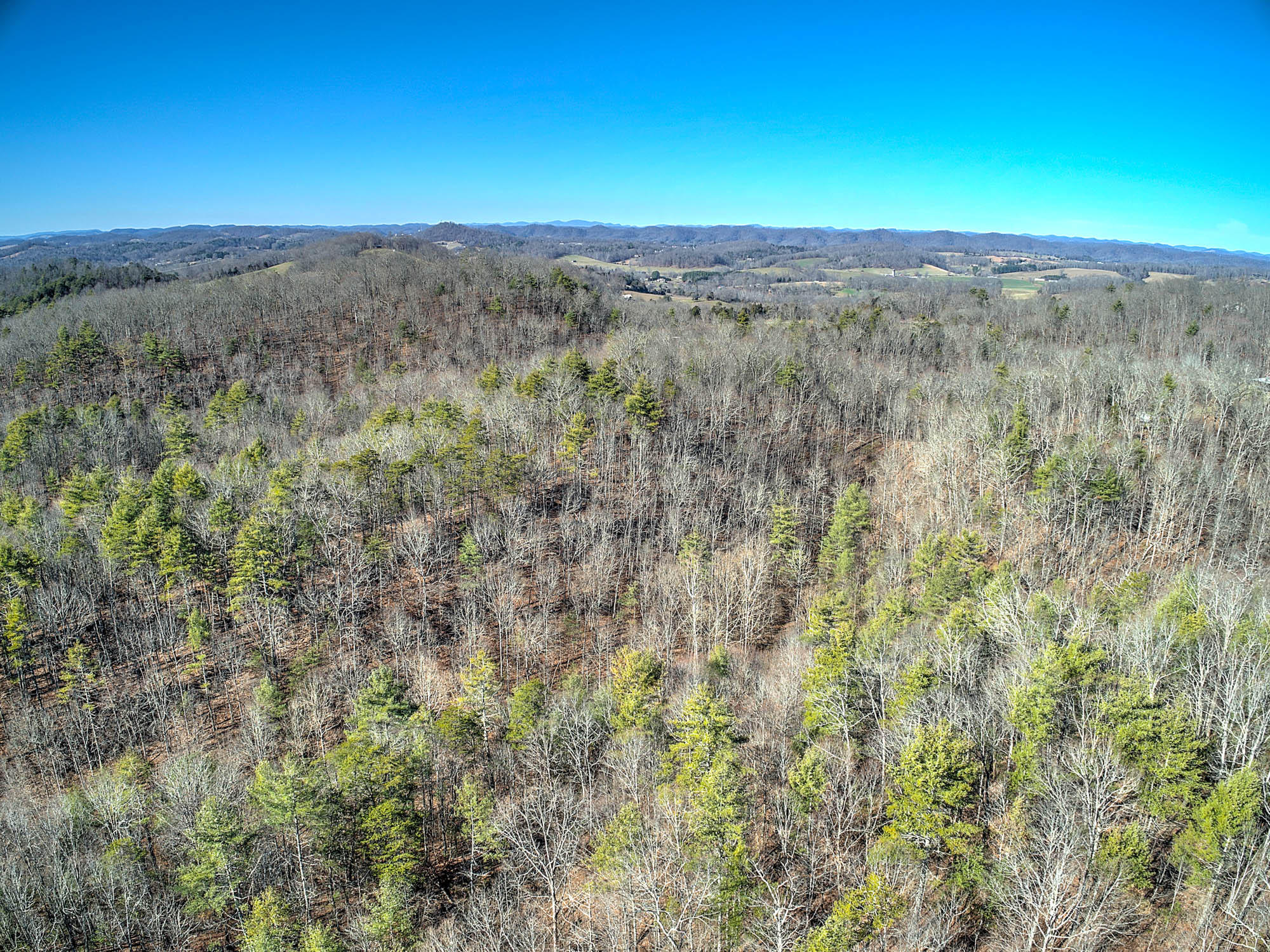 502 Riley Hollow Road Bluff City, TN 37618 - Photo 29 of 39 502 Riley Hollow Rd-9