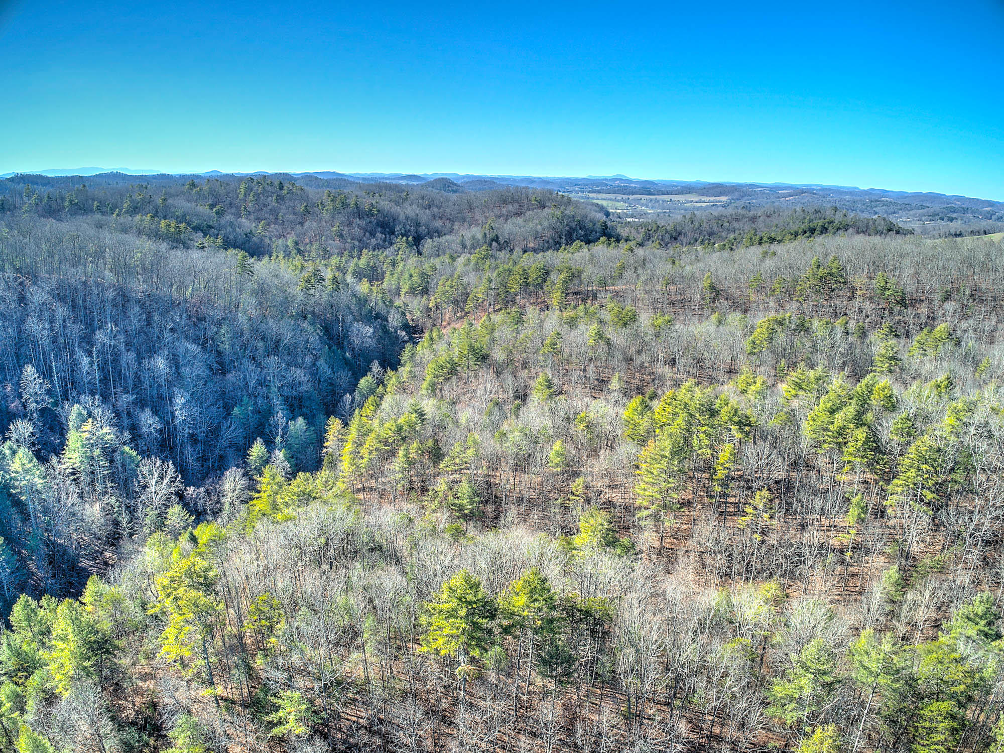 502 Riley Hollow Road Bluff City, TN 37618 - Photo 30 of 39 502 Riley Hollow Rd-10