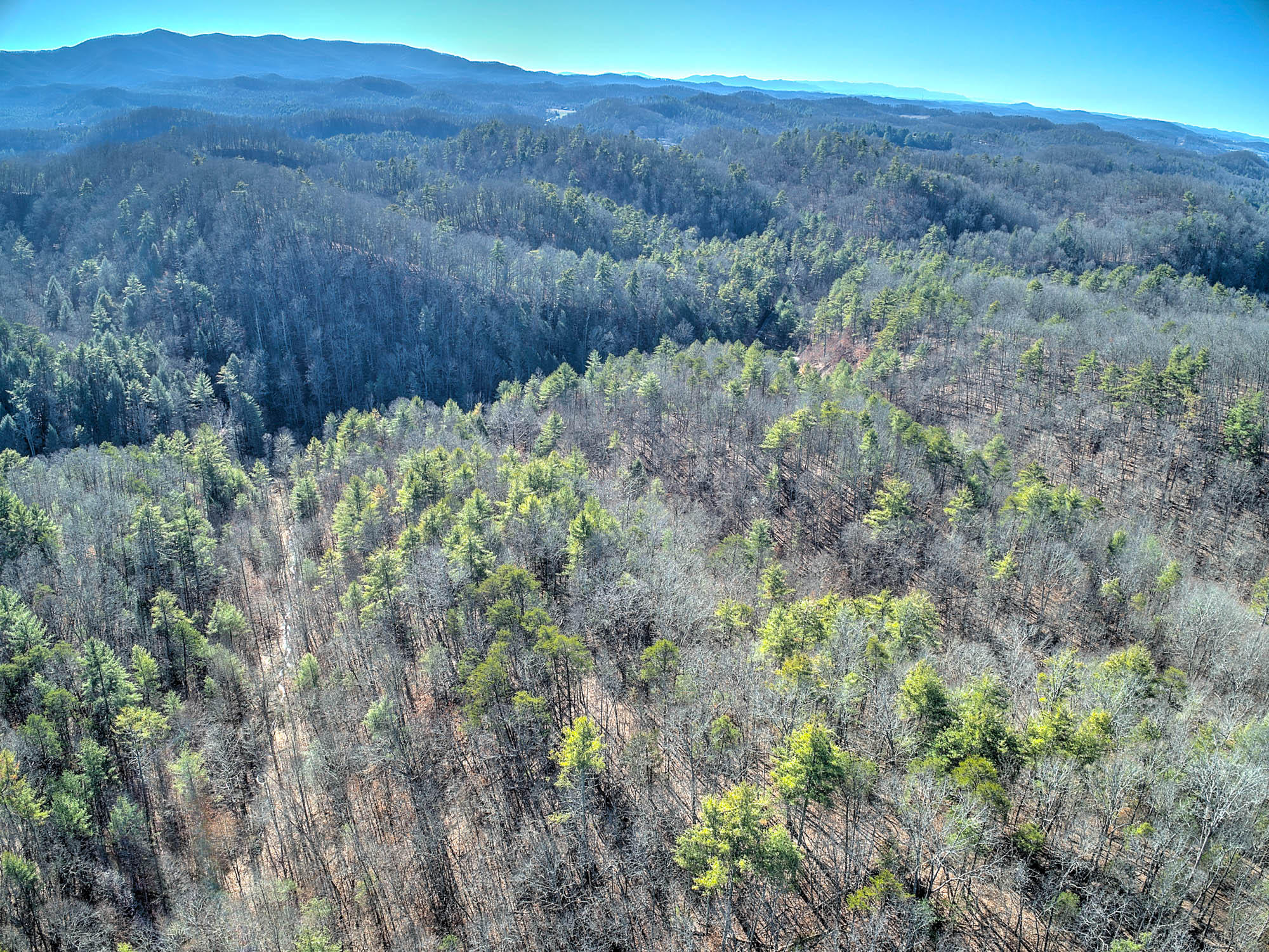 502 Riley Hollow Road Bluff City, TN 37618 - Photo 32 of 39 502 Riley Hollow Rd-12