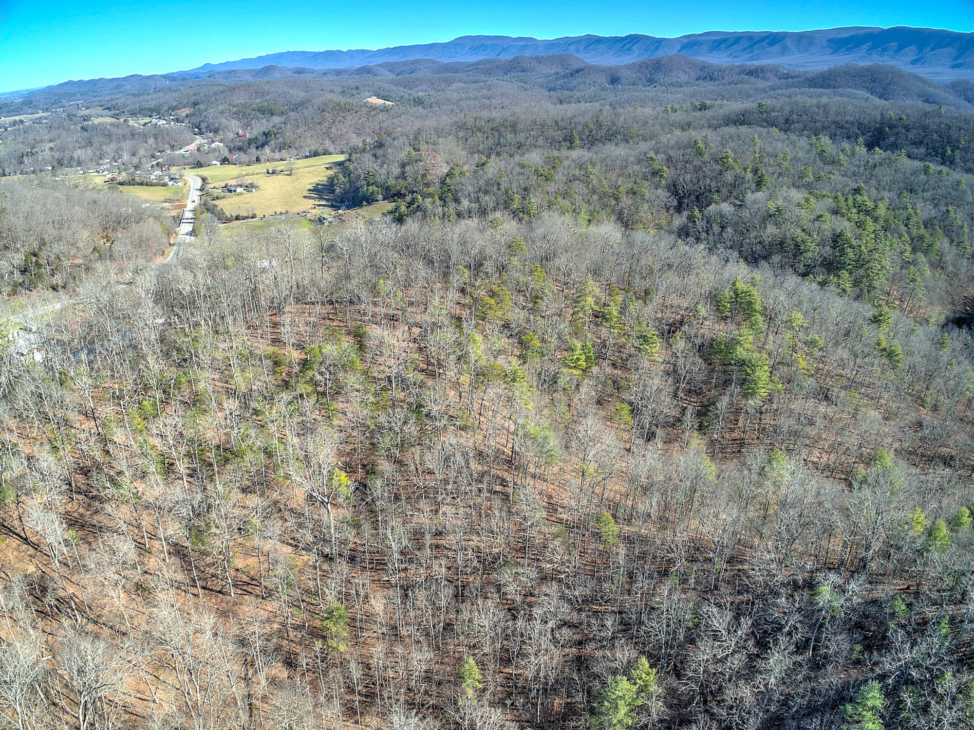 502 Riley Hollow Road Bluff City, TN 37618 - Photo 33 of 39 502 Riley Hollow Rd-13