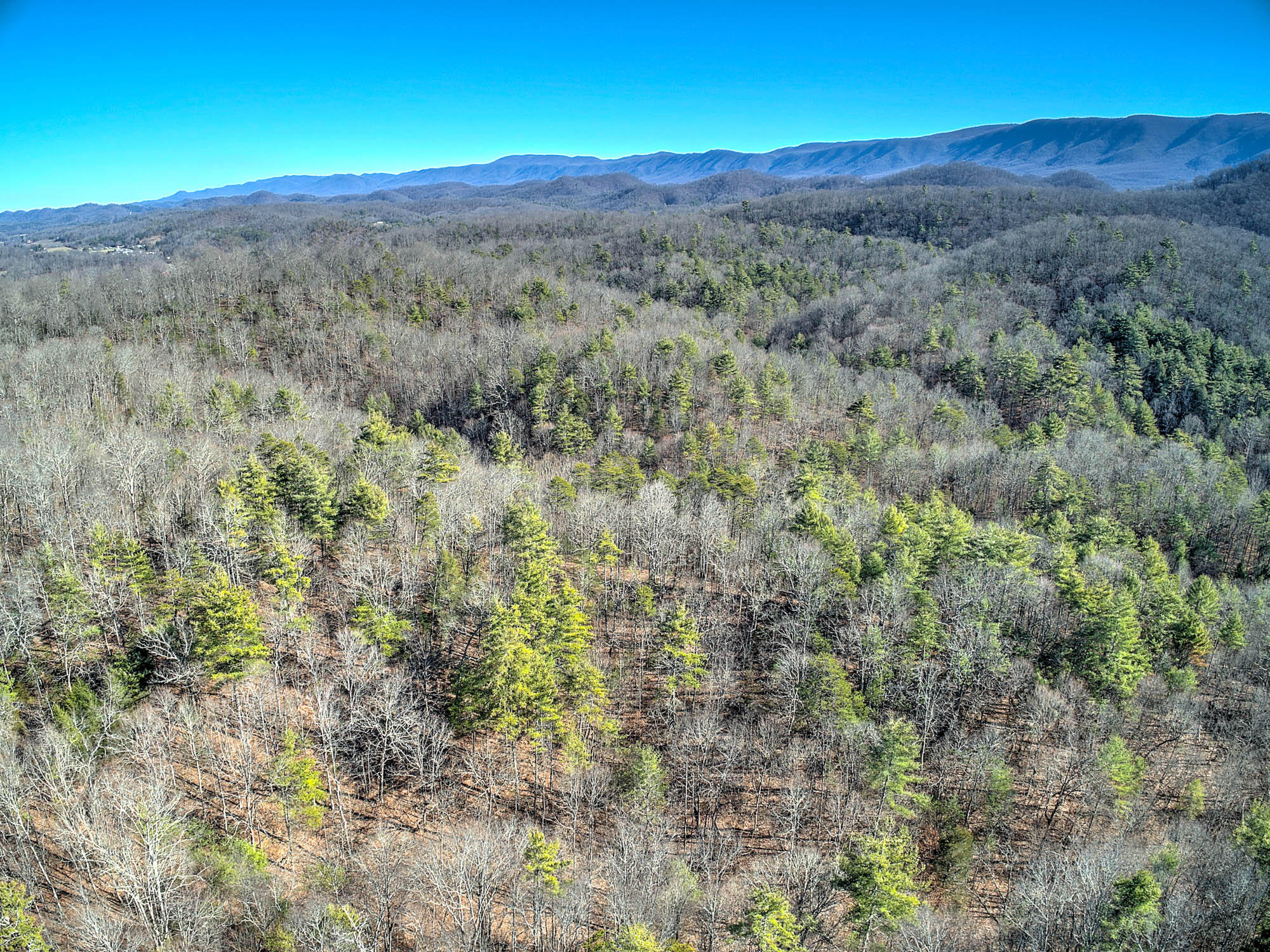 502 Riley Hollow Road Bluff City, TN 37618 - Photo 36 of 39 502 Riley Hollow Rd-16