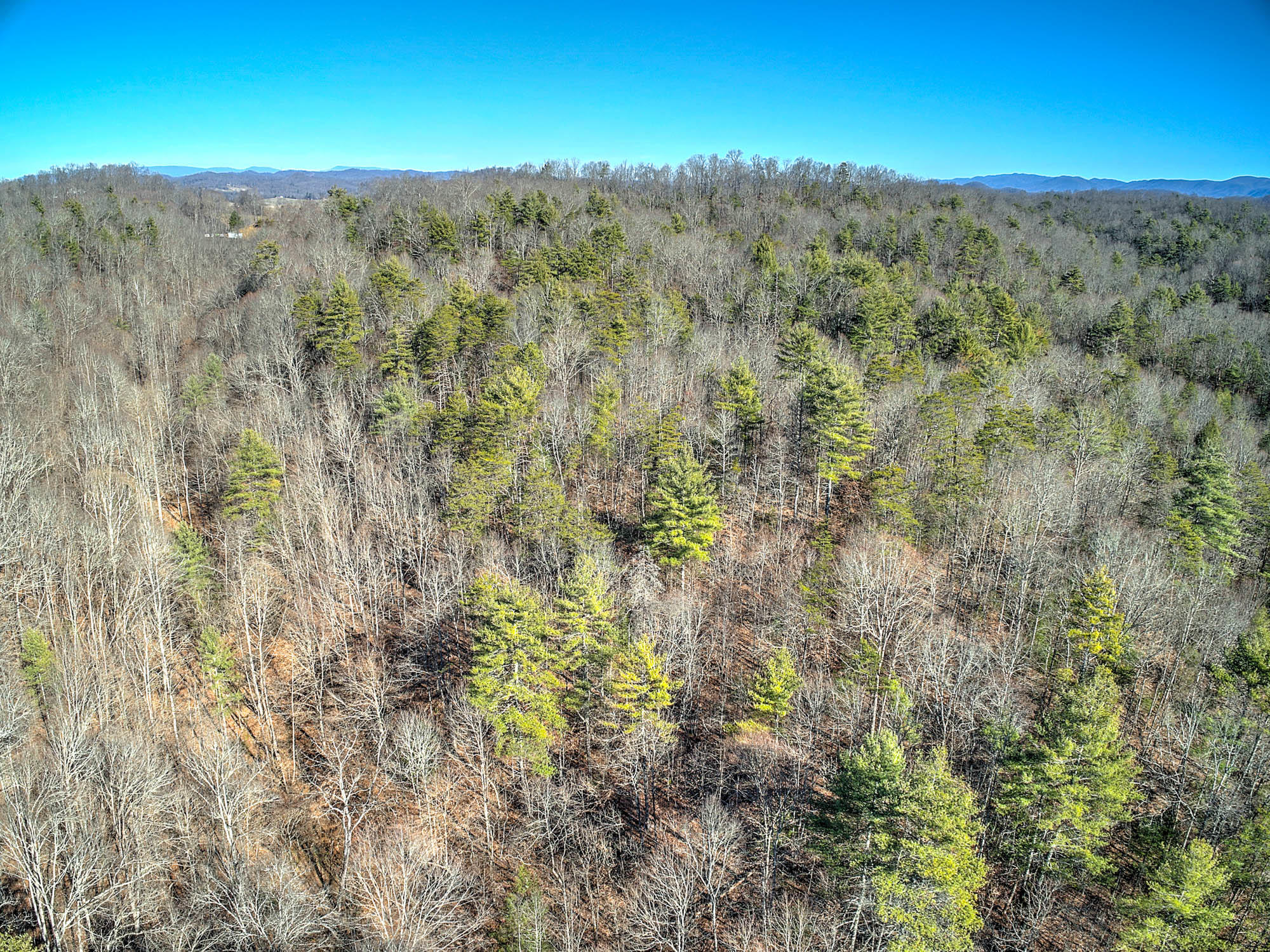 502 Riley Hollow Road Bluff City, TN 37618 - Photo 38 of 39 502 Riley Hollow Rd-18