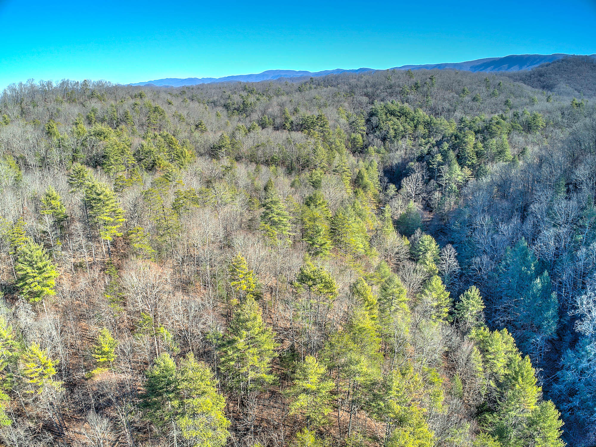 502 Riley Hollow Road Bluff City, TN 37618 - Photo 39 of 39 502 Riley Hollow Rd-19