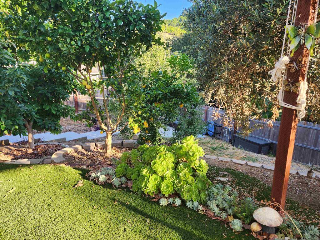 3909 Reche Road, Unit 30 Fallbrook, CA 92028 - Photo 26 of 52 a view of a backyard with swimming pool