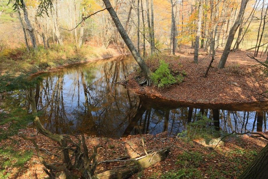 10 Fox Hall Road Falmouth, ME 04105 - Photo 31 of 31 Photo