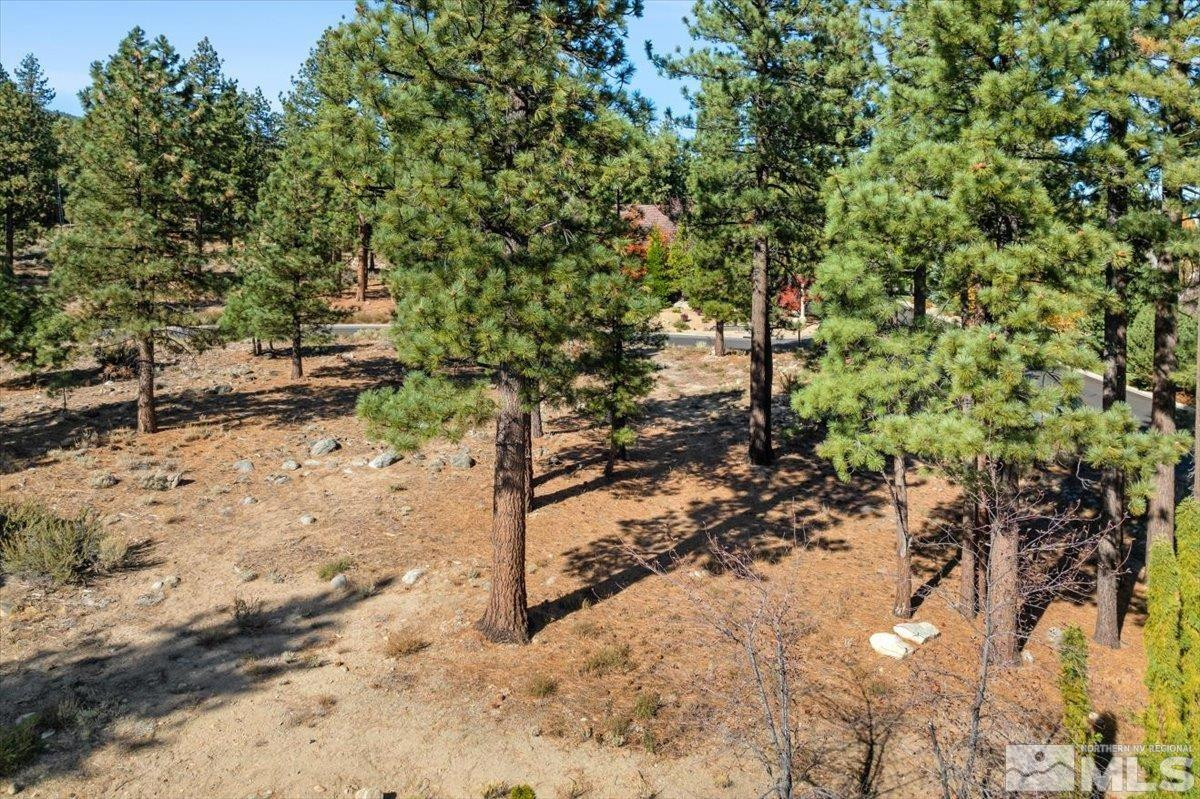 20500 Margaux Road, Unit 420S Reno, NV 89511 - Photo 6 of 11 Photo 6