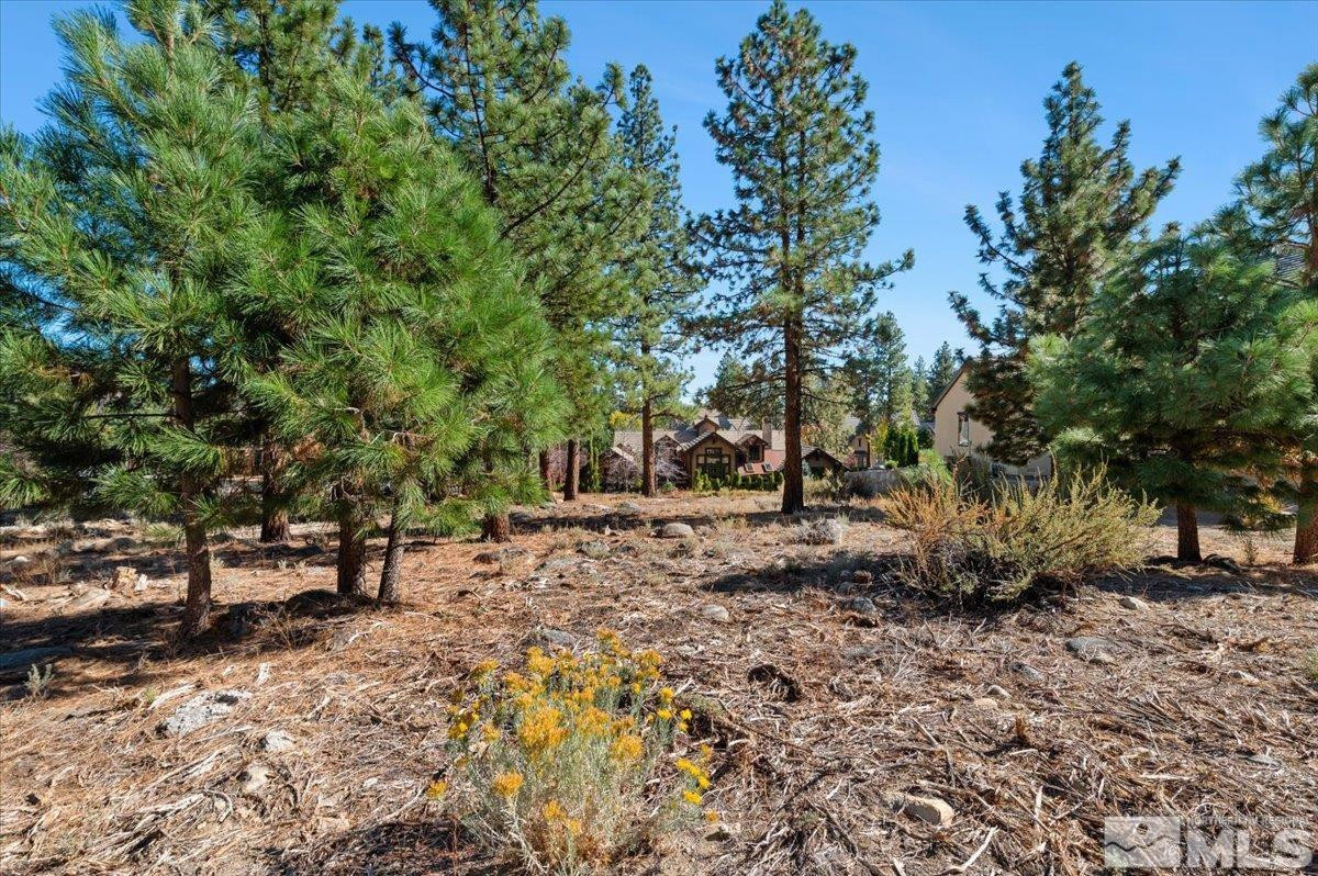 20500 Margaux Road, Unit 420S Reno, NV 89511 - Photo 7 of 11 Photo 7