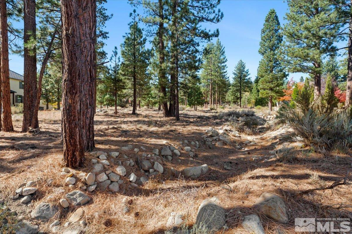 20500 Margaux Road, Unit 420S Reno, NV 89511 - Photo 8 of 11 Photo 8