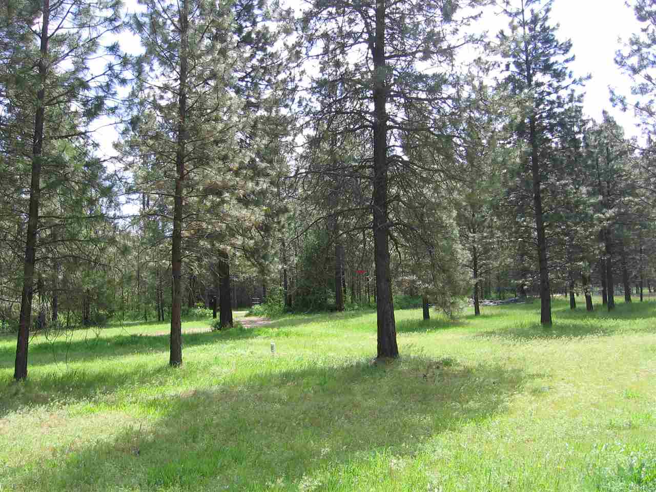 1632 Brooks Road Evans, WA 99126 - Photo 4 of 18