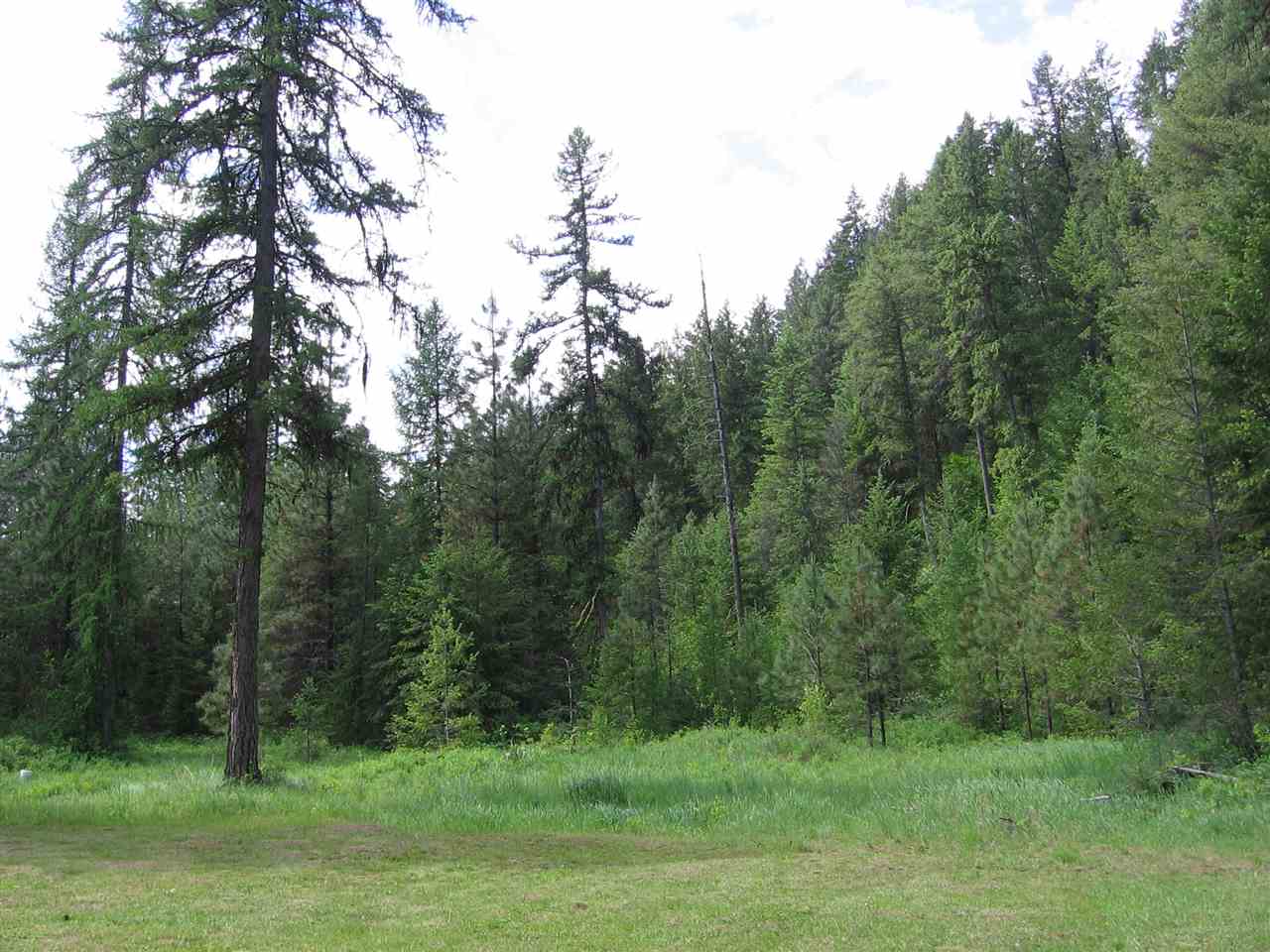 1632 Brooks Road Evans, WA 99126 - Photo 5 of 18