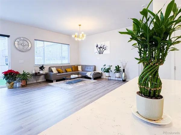 a view of a living room and a potted plant