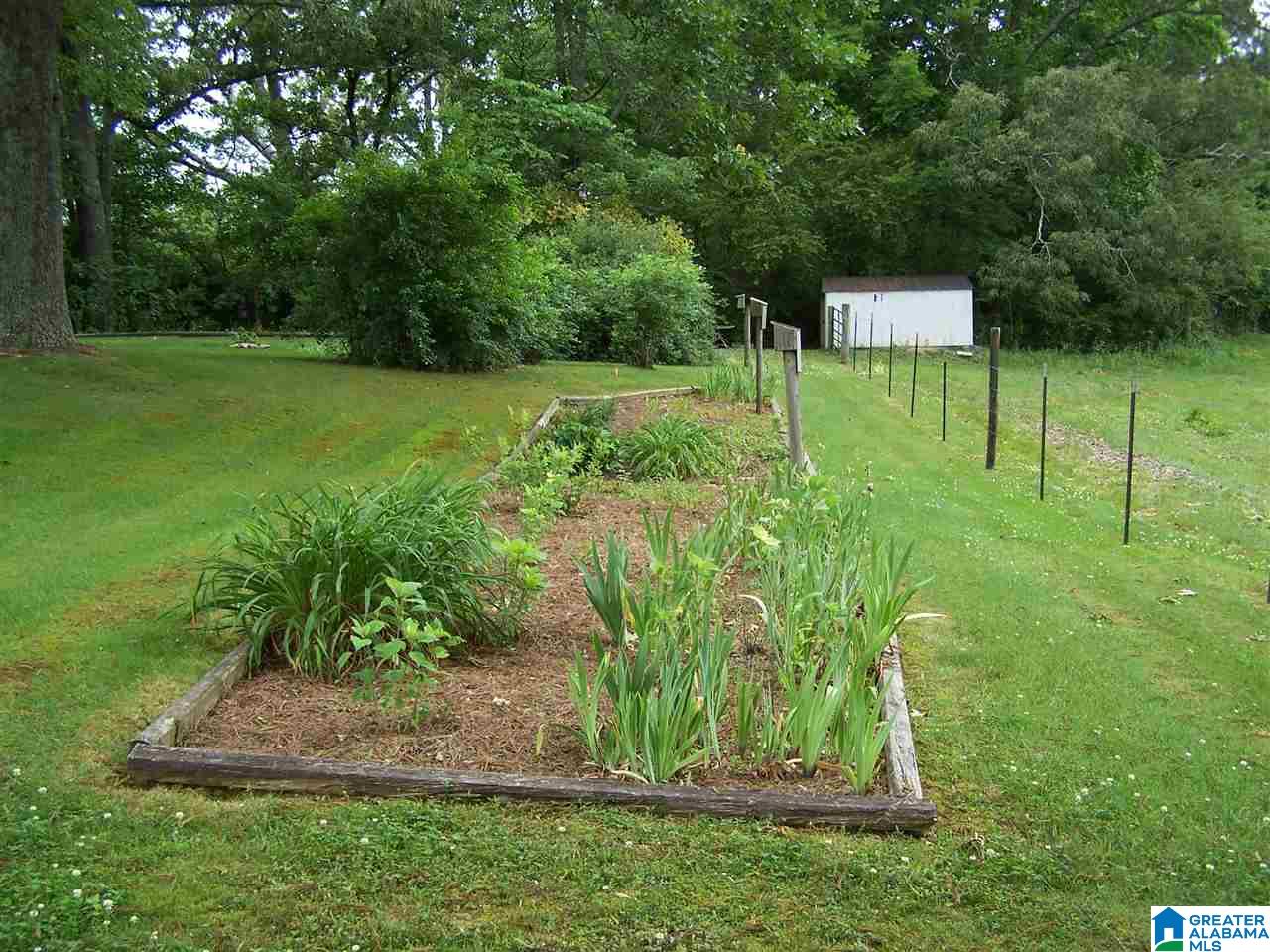 1595 Robin Hill Road Oneonta, AL 35121 - Photo 11 of 48