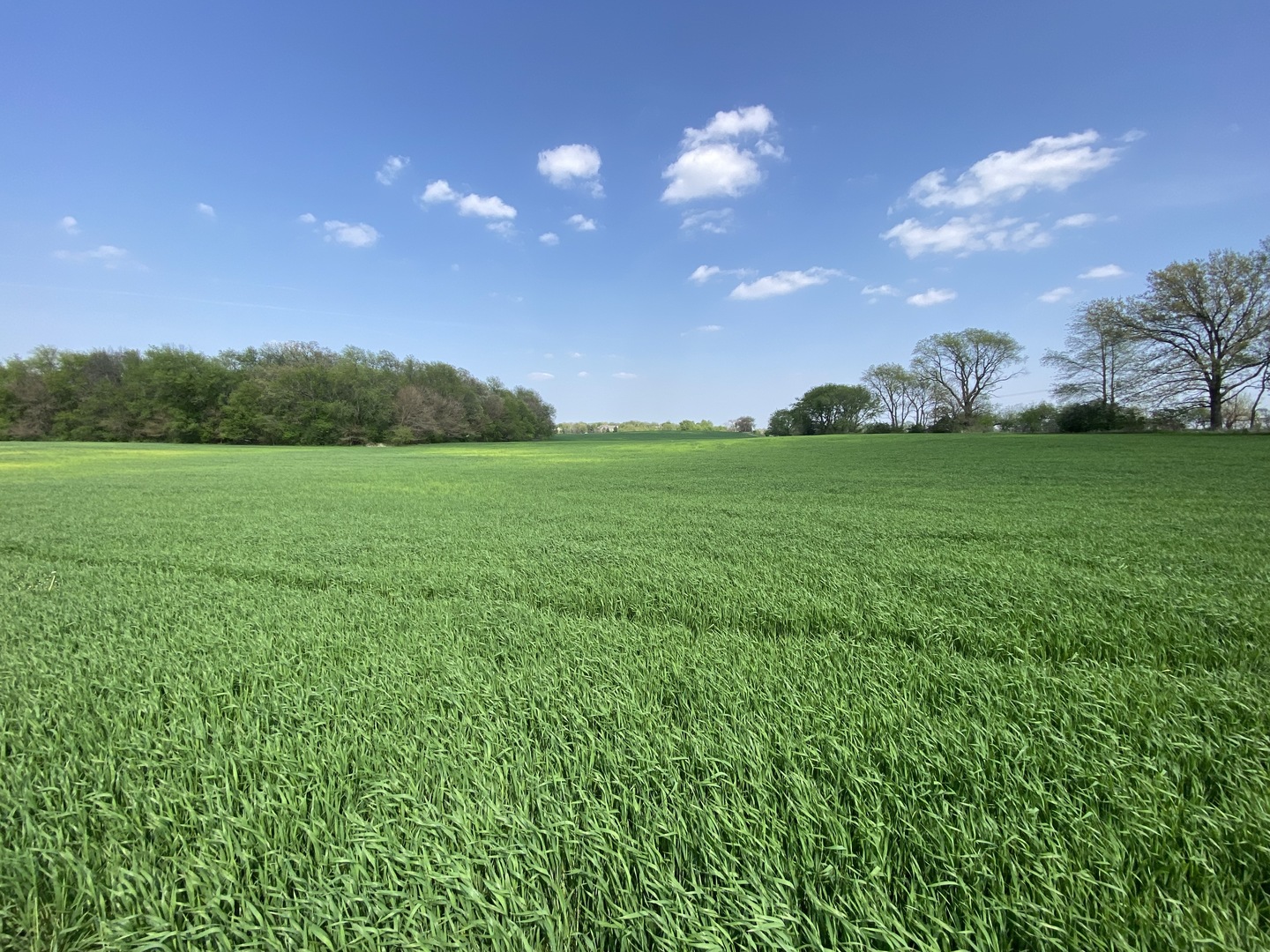 a view of field with green space
