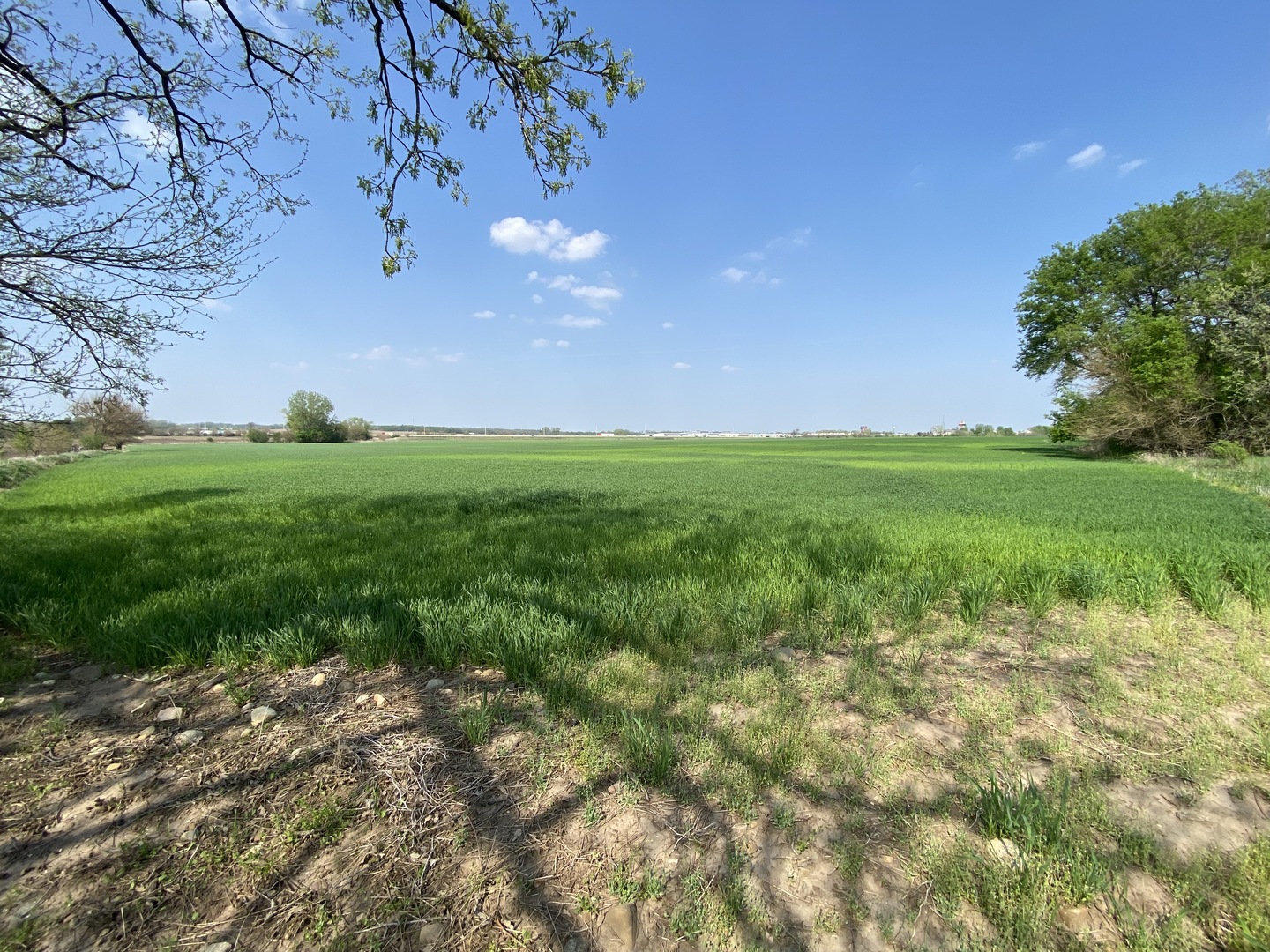 0 Higgins Road Hampshire, IL 60140 - Photo 13 of 30 a backyard of a house with lots of green space and mountain view