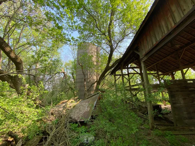 a view of a grassy field