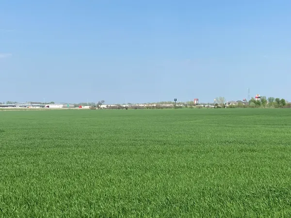 a view of a lush green space