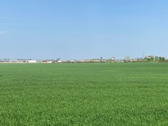 a view of a lush green space