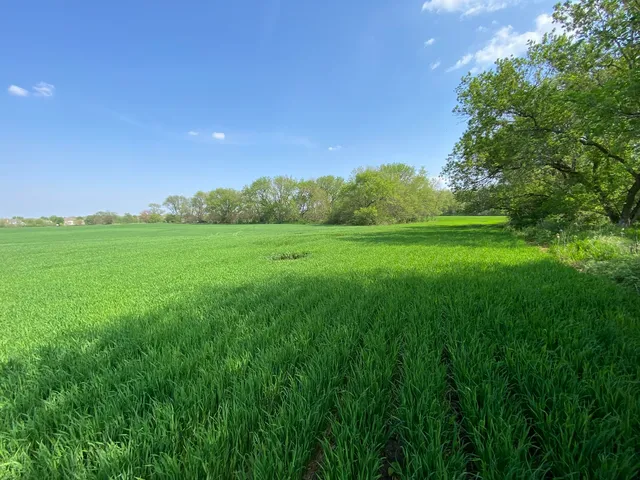 a view of an outdoor space and yard