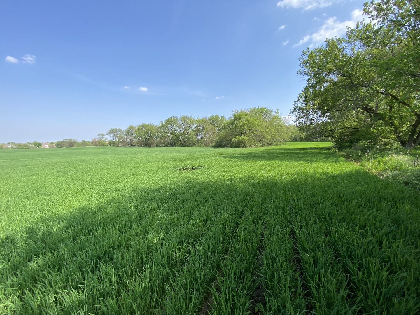 0 Higgins Road Hampshire, IL 60140 - Photo 18 of 30 a view of a lush green space