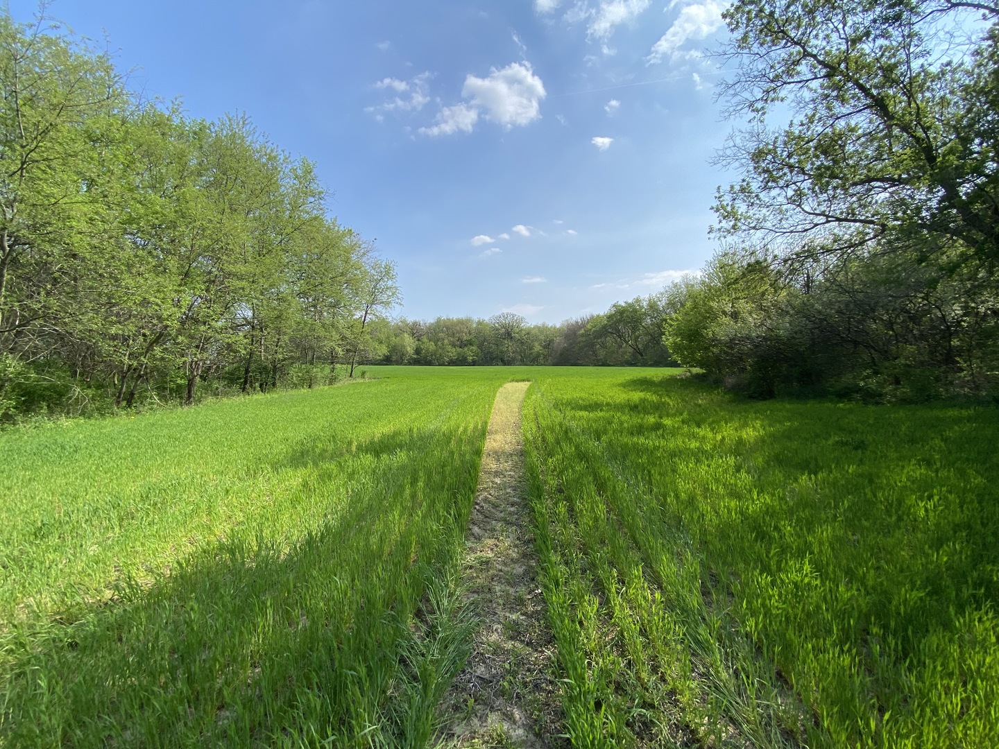 0 Higgins Road Hampshire, IL 60140 - Photo 19 of 30 a view of an outdoor space and yard