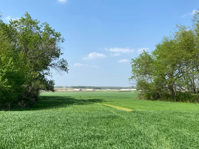 a view of a green yard with a house in the background