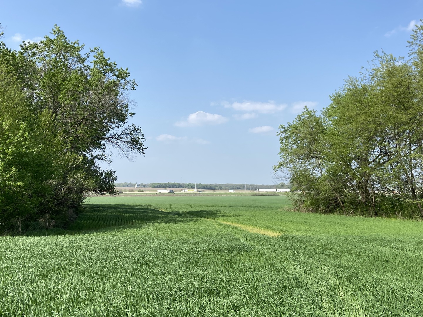 0 Higgins Road Hampshire, IL 60140 - Photo 20 of 30 a view of yard with grass & house