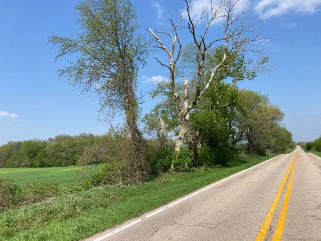 a view of a yard with potted plants