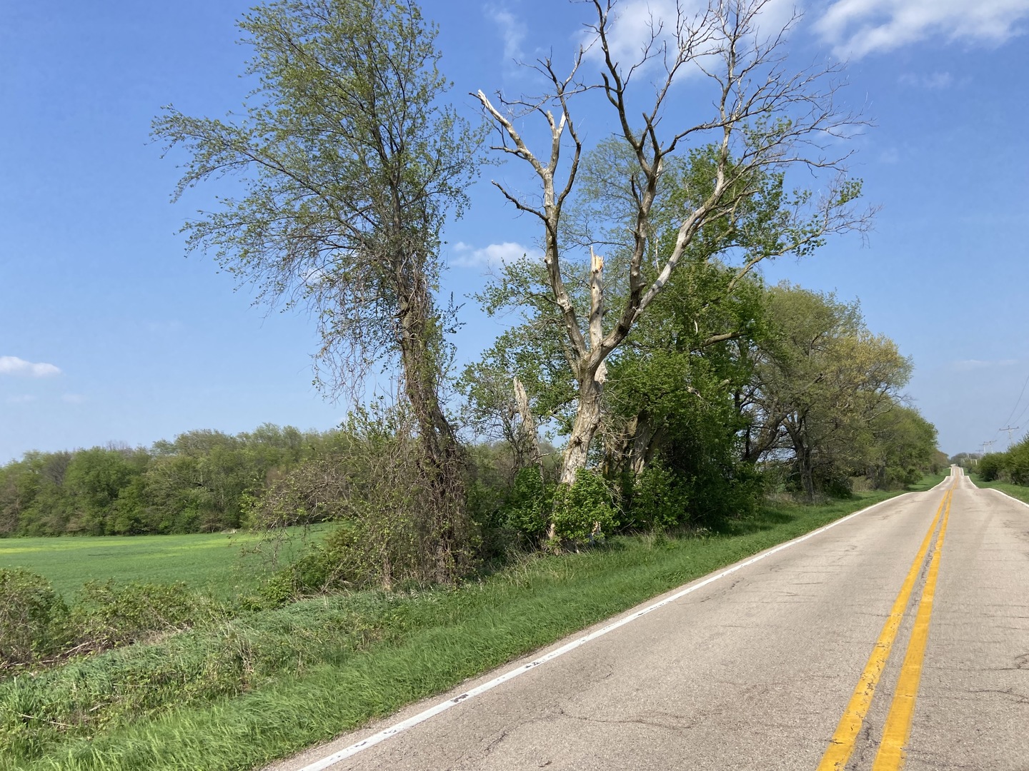0 Higgins Road Hampshire, IL 60140 - Photo 2 of 30 a view of a yard with potted plants
