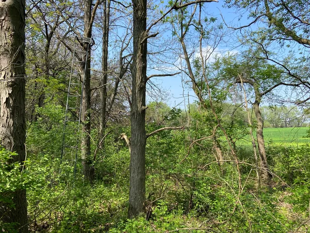a backyard of a building
