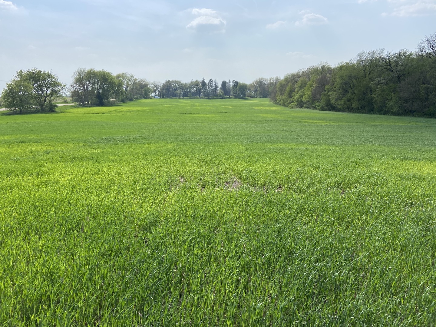 0 Higgins Road Hampshire, IL 60140 - Photo 25 of 30 a view of field with grass